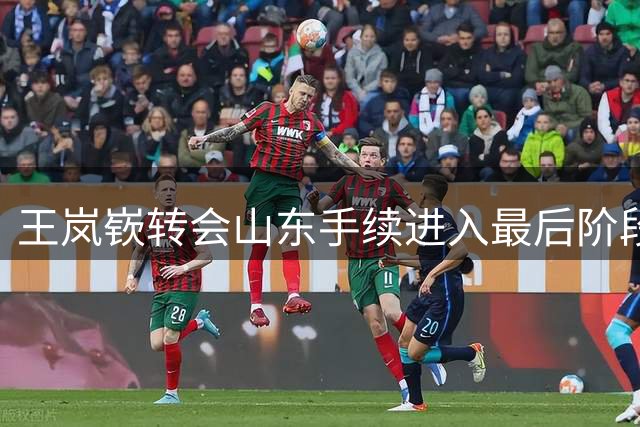 王岚嵚转会山东手续进入最后阶段 预计下周完成官宣